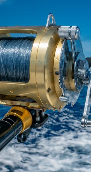 Fishing in Whakatane, New Zealand