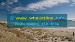 Whakatāne.info July 2024 Newsletter