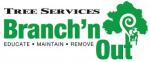 Branch'n Out Tree Services Whakatane