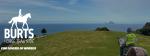 Burts Horse Trail Ride Whakatane