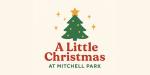 A Little Christmas at Mitchell Park