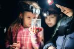 Kids Night Walk of Discovery Whakatane