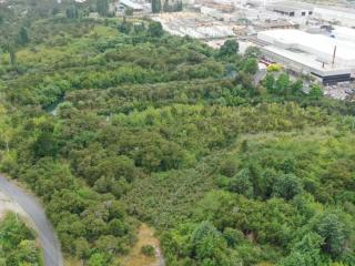 Essity Geothermal-Powered Tissue Machine