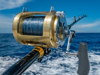 Fishing in Whakatane, New Zealand