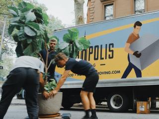 Furniture Movers & Removals Whakatane