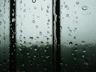 Window Cleaning in Whakatane