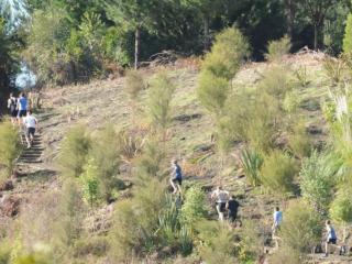 Onepu Mountain Bike Park, Whakatane