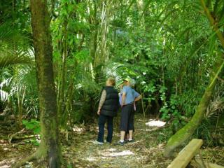 Our visitors enjoy the spectacular White Pine Reserve