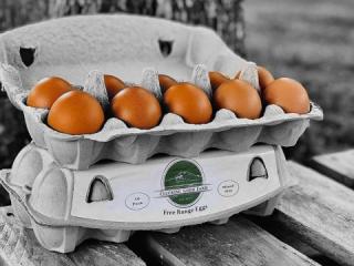 Clucking Good Farm Freerange Eggs