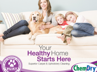 Your Healthy Home Starts Here
