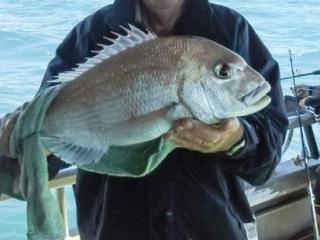 Ohiwa Fishing Charters Ohiwa Fishing Charters
