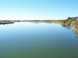 Whakatane River