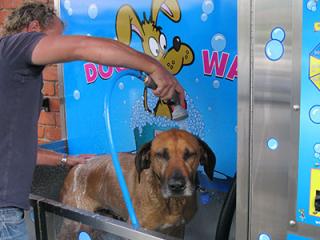 K9000 DIY Dog Wash