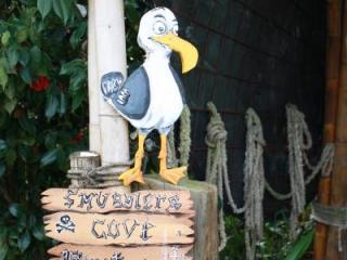 Pirate's Cove Pirate's Cove