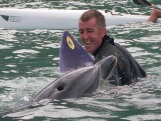 Moko the Dolphin, Whakatane