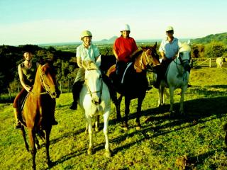 Nikau Valley Horse Treks, Whakatane