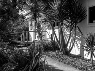 Ohope Beach Medical Centre