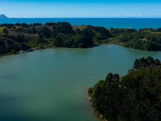 Tio Ōhiwa Oysters & Takeaways