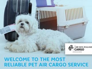 Pet Cargo