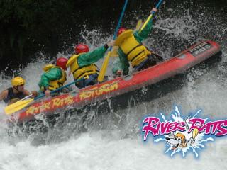 River Rats Raft & Kayak, Whakatane
