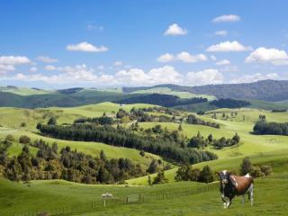 Lifestyle Properties Lifestyle Properties