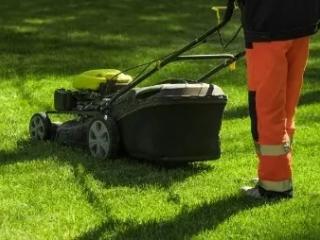 Lawn Mowing, Edges & Tree Trimming