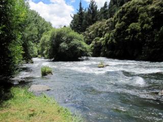 Tarawera River