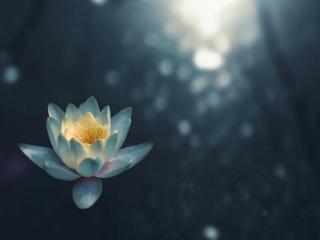 Thai Massage Thai Massage