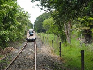 Track near White Pine Bush