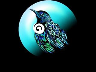 Tui Aotearoa, Gift Shop Whakatane