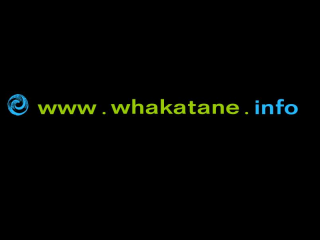 Whakatane website services
