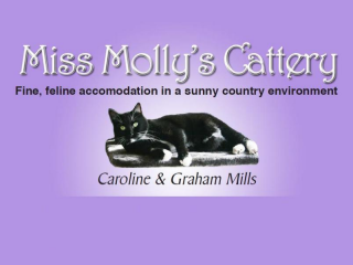 Miss Mollys Cattery, Whakatane
