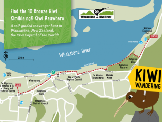 Kiwi Wandering Trail Whakatane 