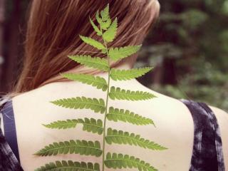 WHAKATANE CHIROPRACTIC