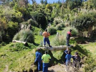 Customisable Packages