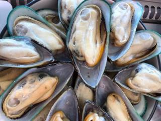 Whakatohea Mussels