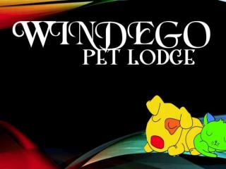 Windego Pet Lodge, Ohope Beach, Whakatane