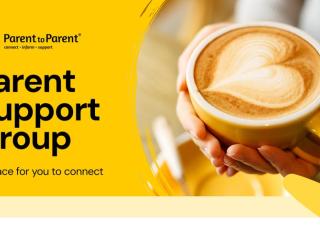 2e Kids & Parents to Parent Support Group Whakatane 2e Kids & Parents to Parent Support Group Whakatane