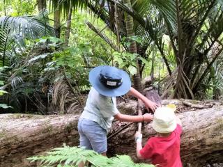 Whakatāne Kiwi Trust Caravan Activities & Guided Walk