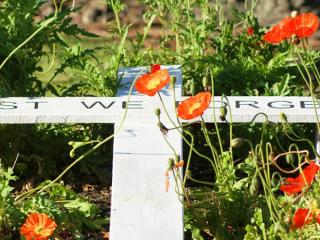 Anzac Day Services Whakatane