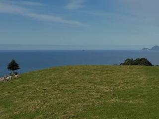 Burts Horse Trail Ride Whakatane