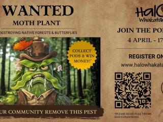 DOMP Comp 2026 Whakatane