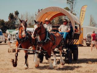 Farming Like Grandad Whakatane