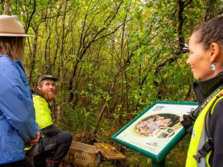 Whakatāne Kiwi Trust Night Walks 2026