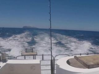 New Zealand Sport Fishing - Council Nationals Whakatane New Zealand Sport Fishing - Council Nationals Whakatane