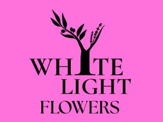 Whakatane - Valentines Sip & Snip Flowers- Whyte Light Flowers Twilight flower picking event Whakatane - Valentines Sip & Snip Flowers- Whyte Light Flowers Twilight flower picking event