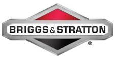 Briggs and Stratton