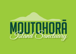 Moutohora Island Sanctuary