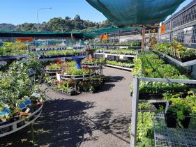 Mitre 10 Garden Centre Whakatane