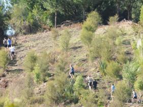 Onepu Mountain Bike Park, Whakatane
